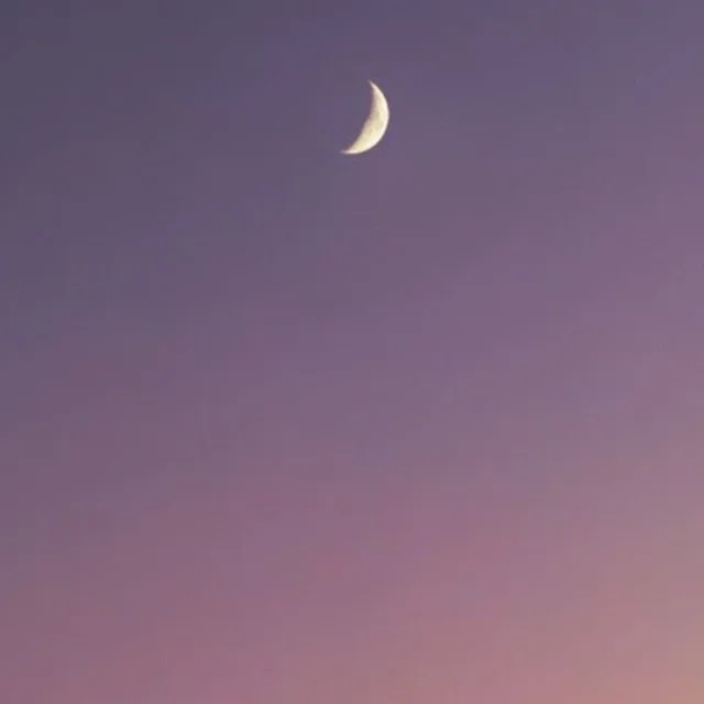 포도쉐이크