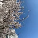 조이15