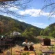 테디v