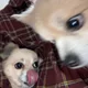 훗훗