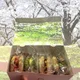 물랑멀랑