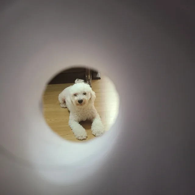 당근맨
