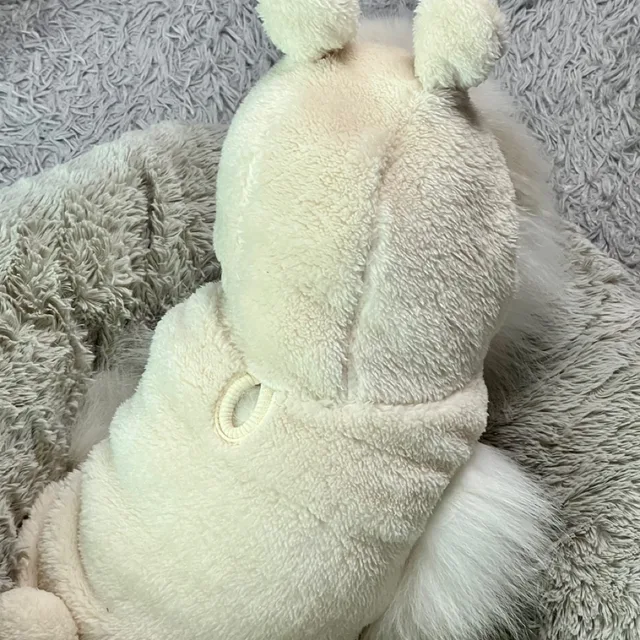 정직한캐럿