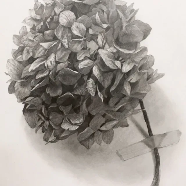 꼴리