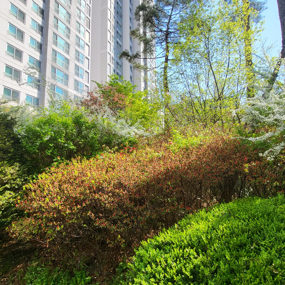 남산배