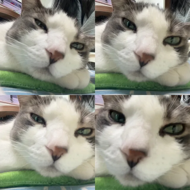 꾸지새미언니