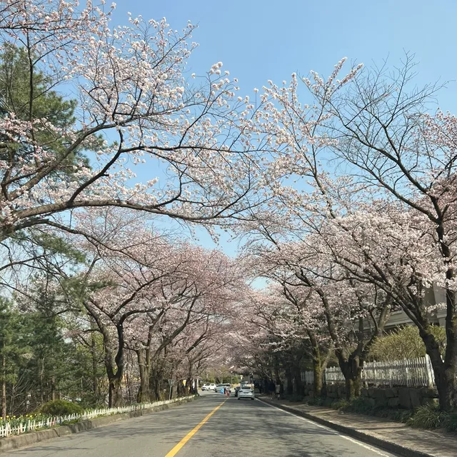 클틴맘