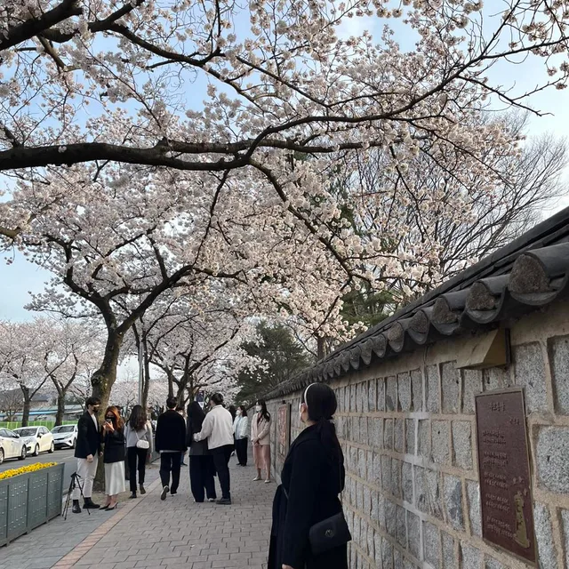 베베루루