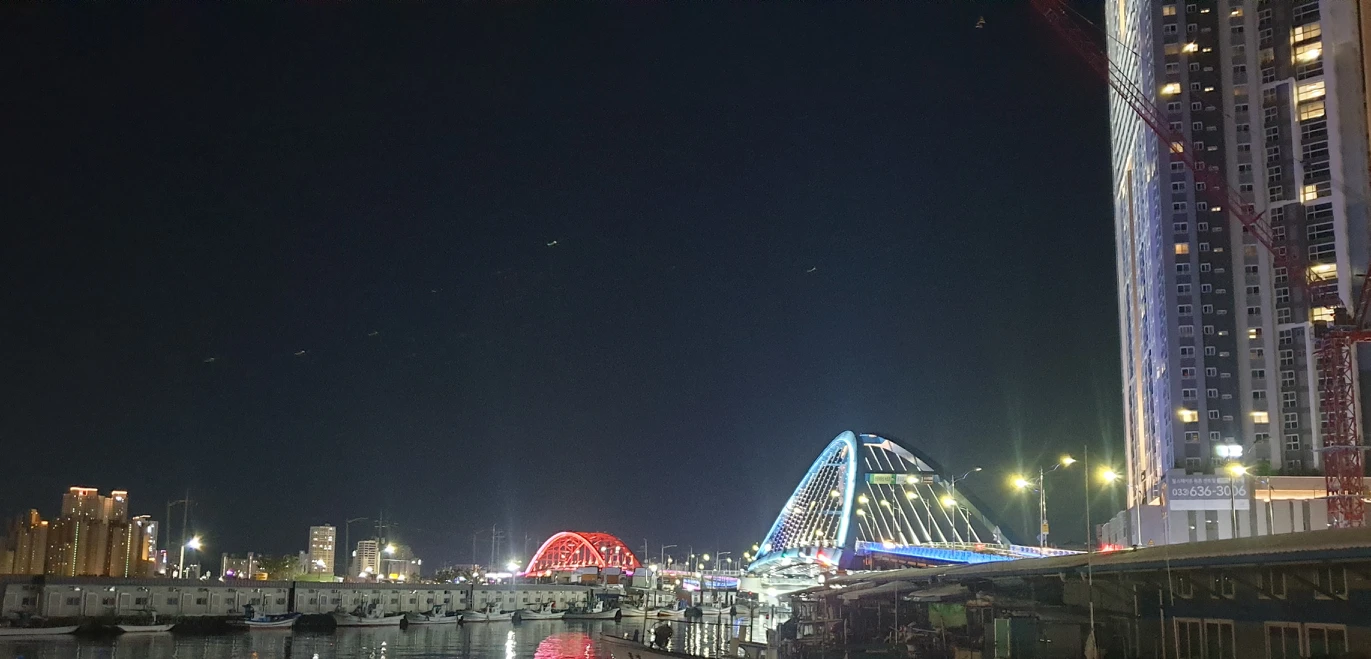 로얄