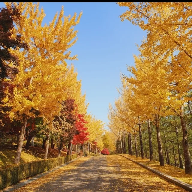 경치
