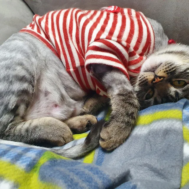 디앤디