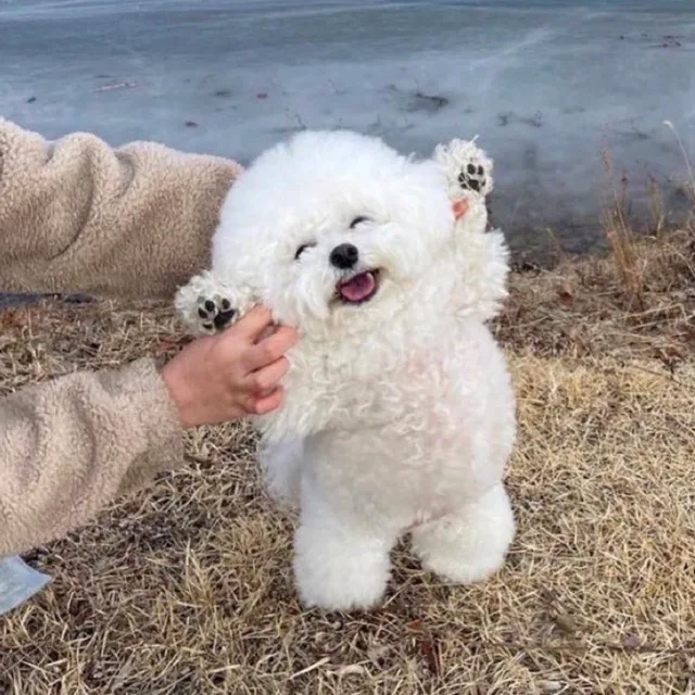쏘로리