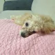 이씨맘