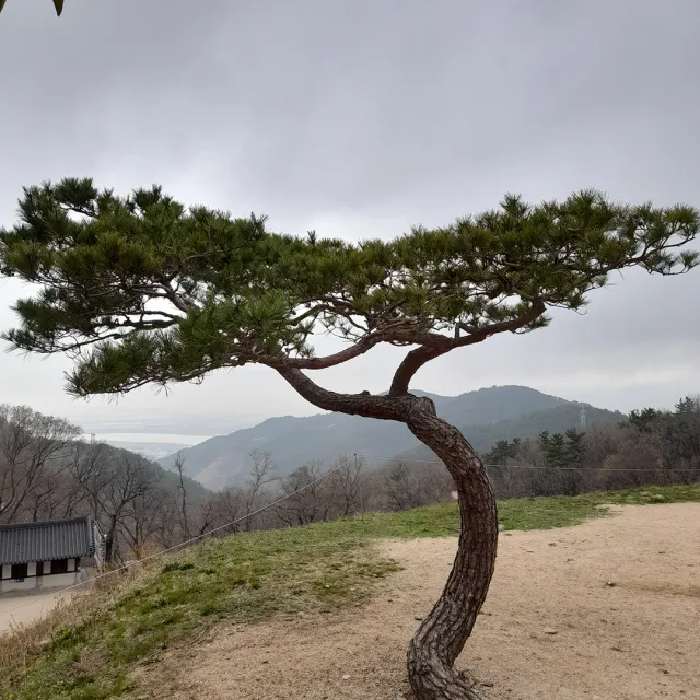 보람