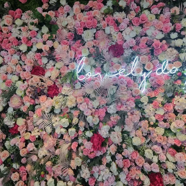 아쿠아
