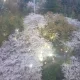 빠빠빠