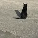 네네