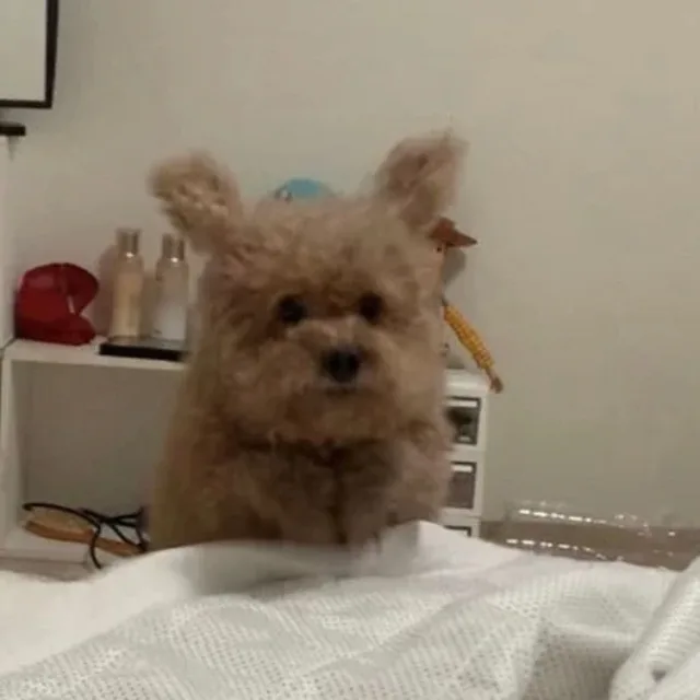 후후