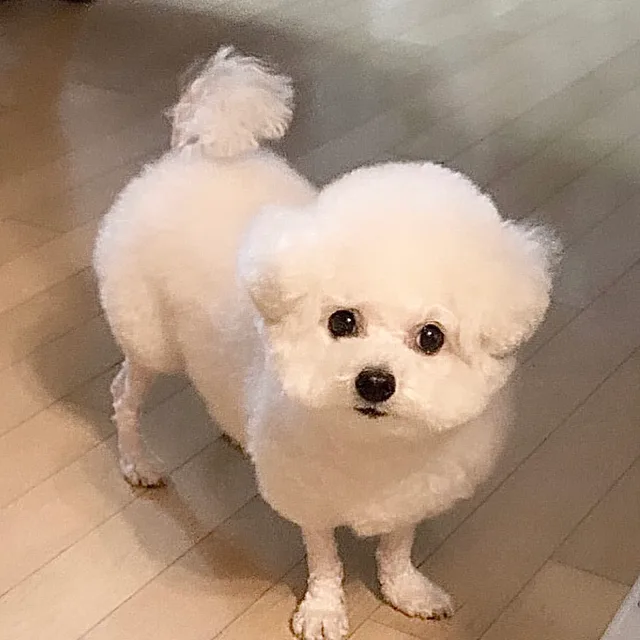 짤랑이
