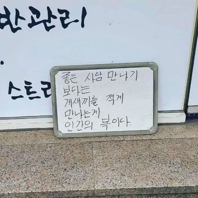 닭발