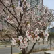 넥스트