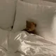 이브닝투디
