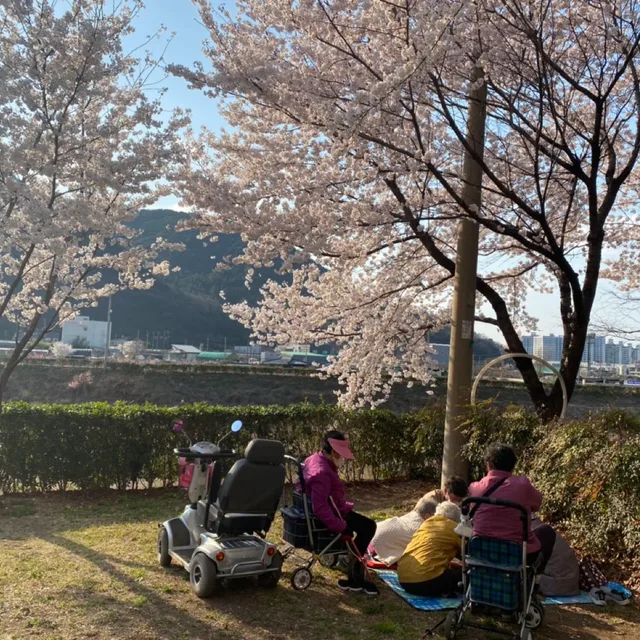 박꽃별