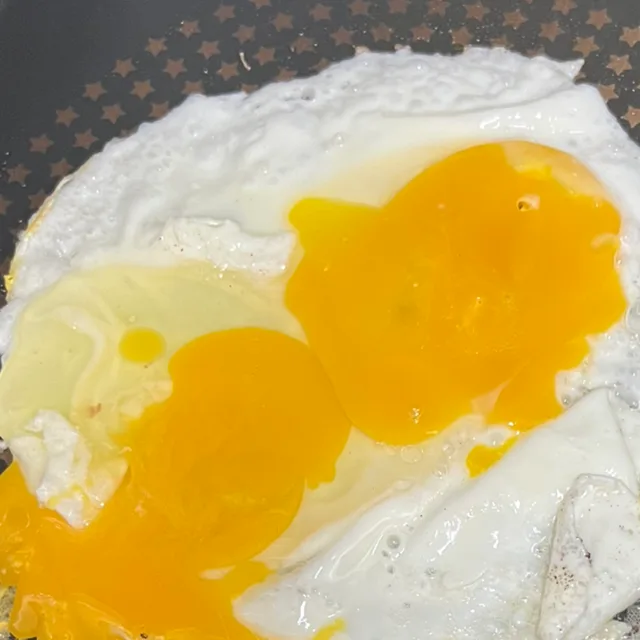 꽁뿡떵짱