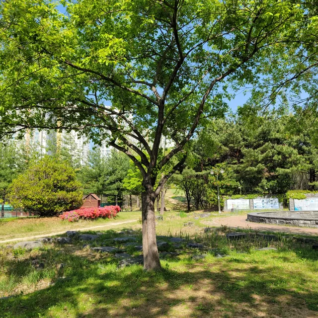 라임