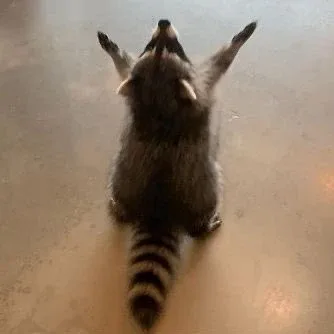 시안