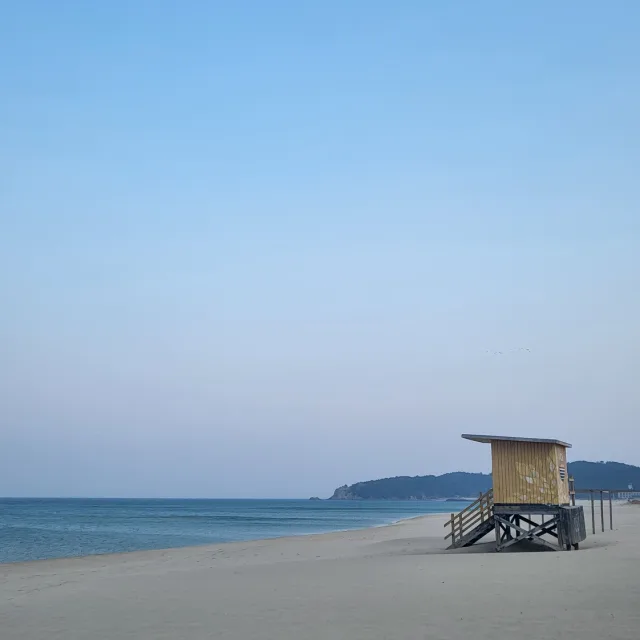 행복한고고씽