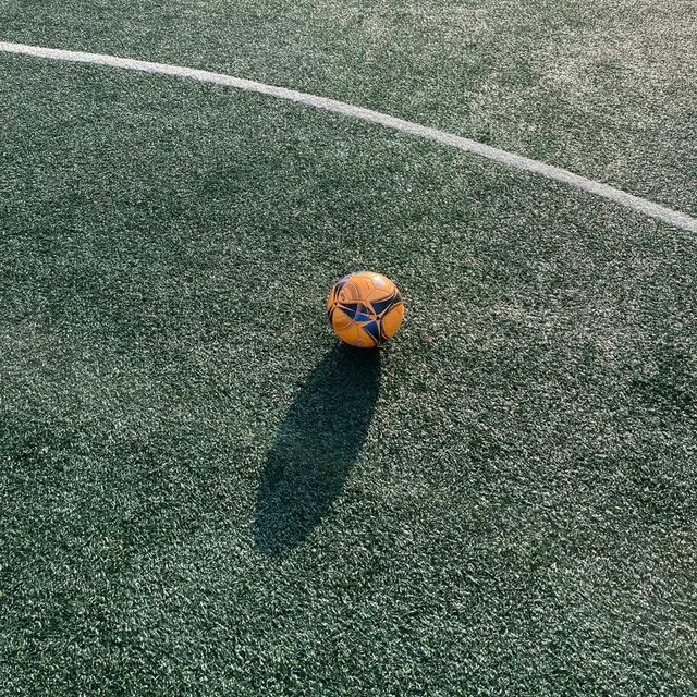 대한민국짝짝짝짝짝