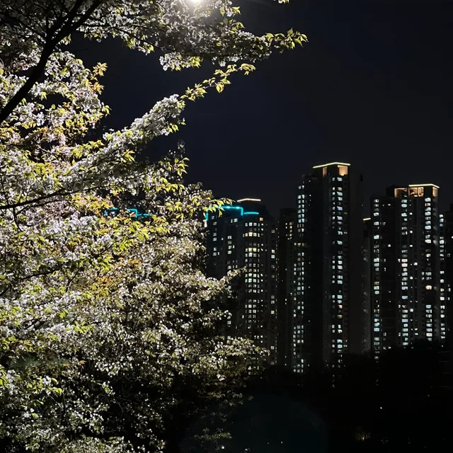 해피블랙