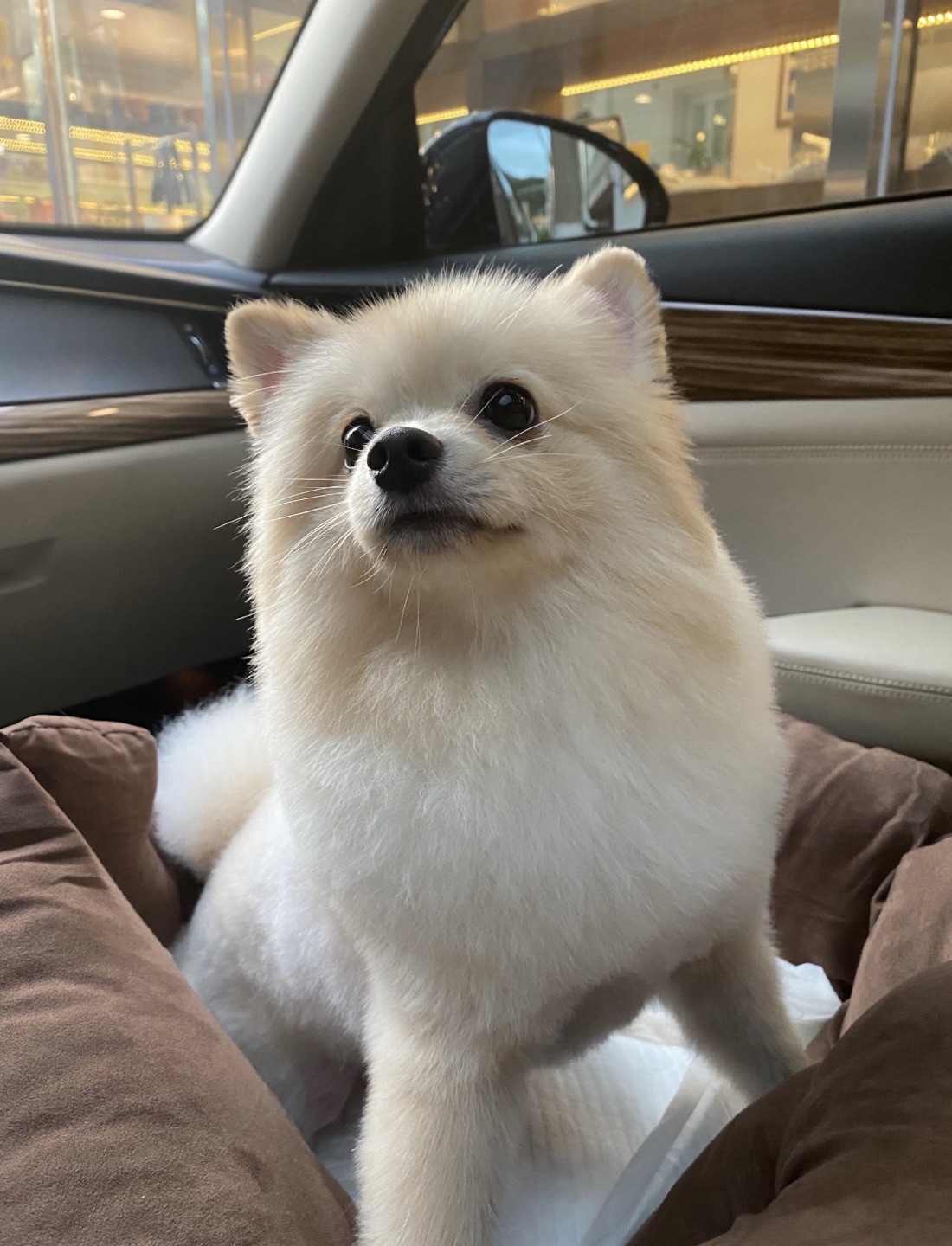시로