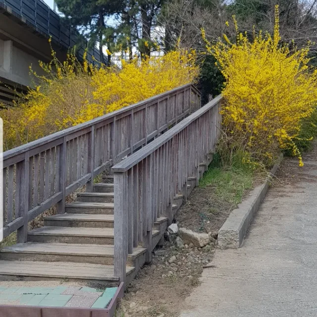 개포주민