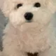 정준영