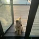 어우야좋다