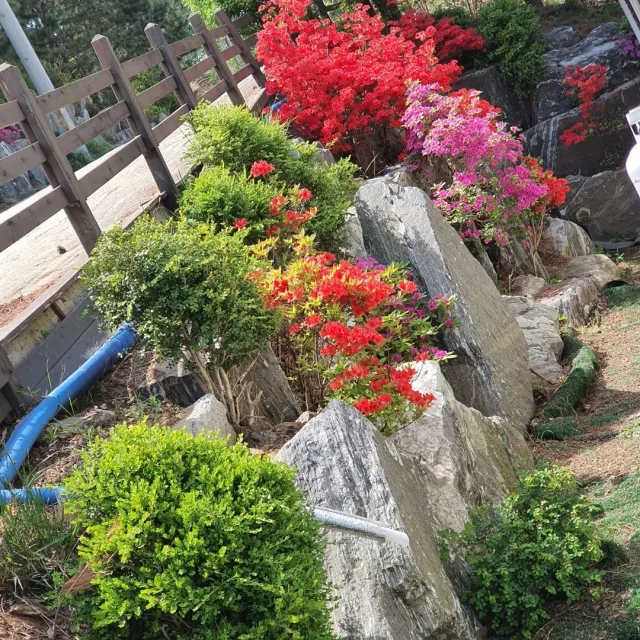 햅삐