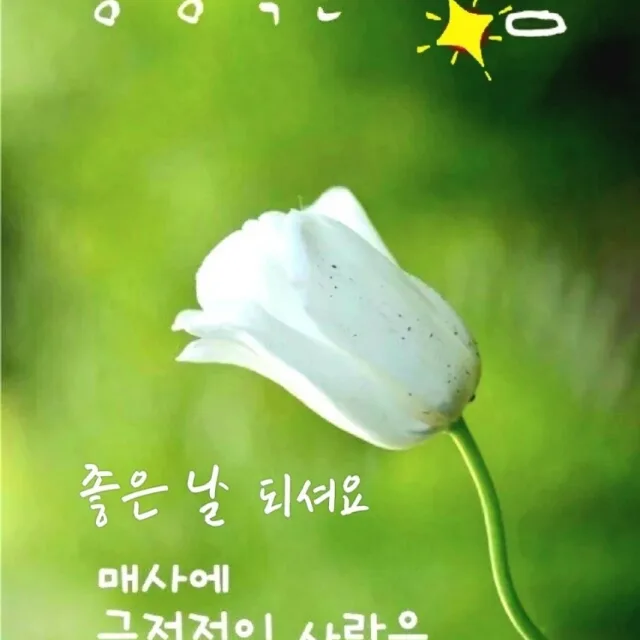 짠내투어