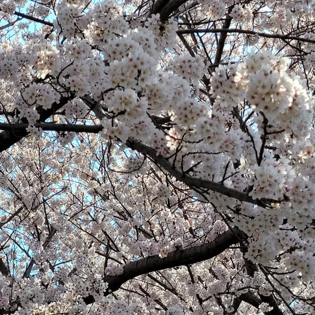 한가족