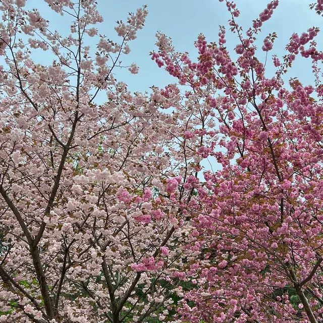 움늄늄늄
