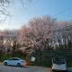 사랑