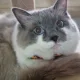 반히밚히반이밯이당근당근