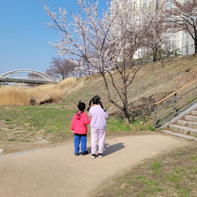 유미지성맘