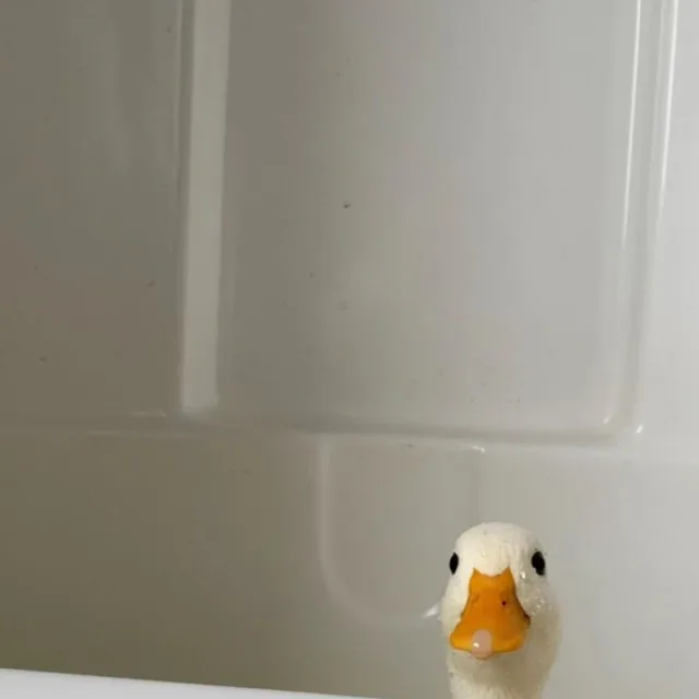 안녕하세요