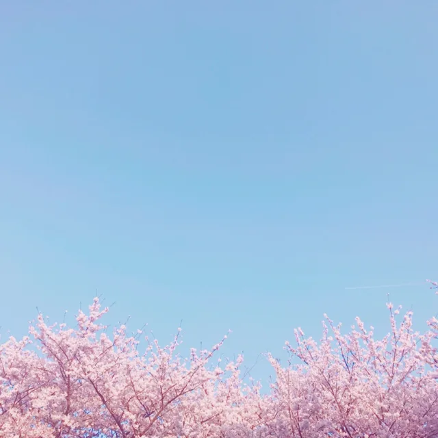 좋은게좋은거야