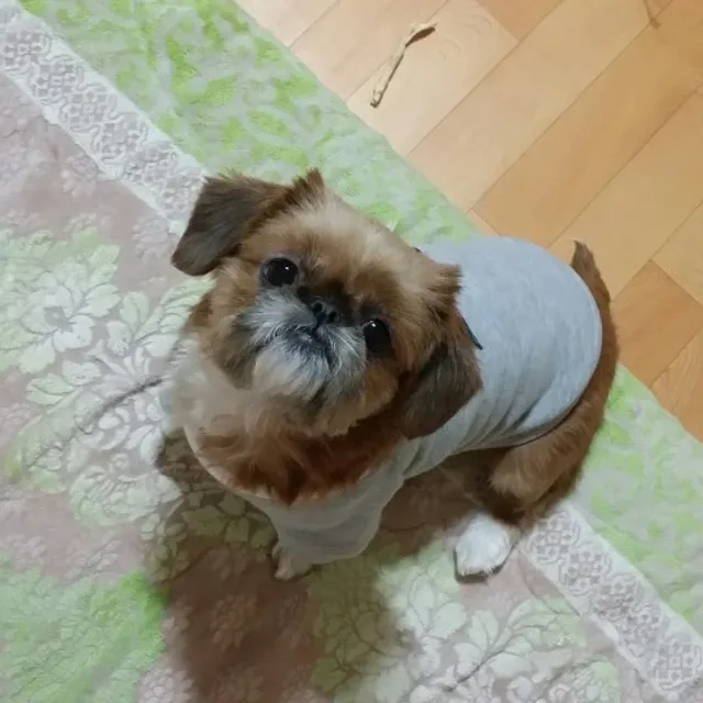 담터콩이