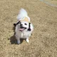 코콩날다