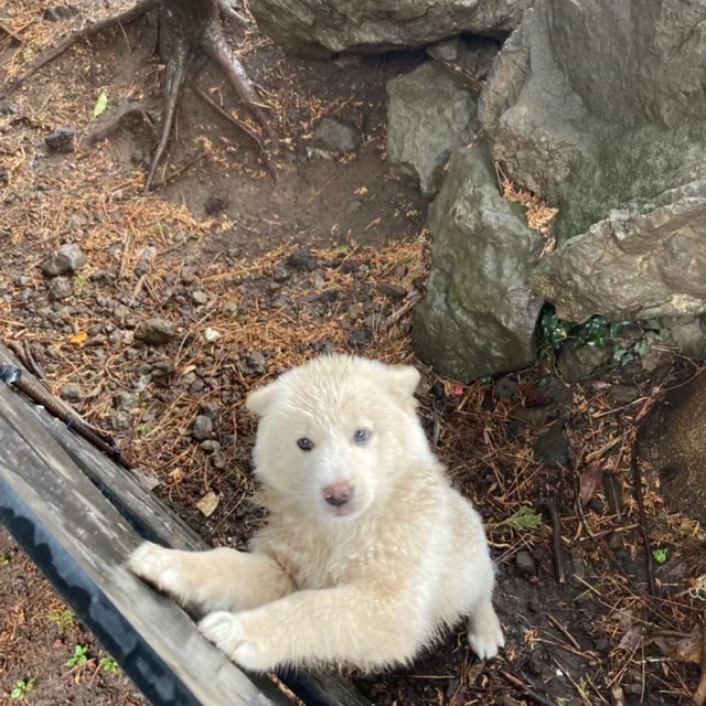 문긍정