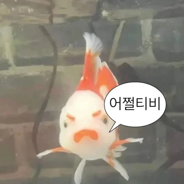 골라잡아